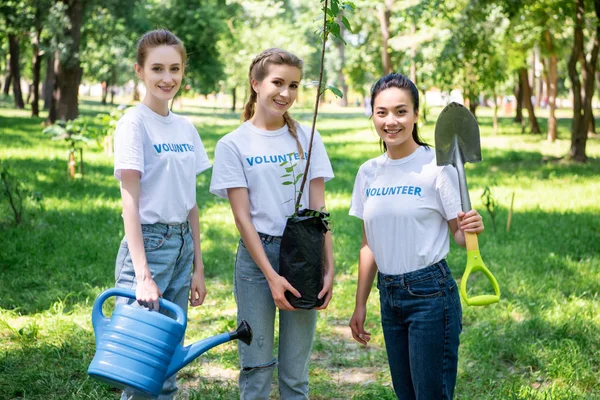 Freiwillige mit Schaufel und Gießkanne pflanzen Baum im Park — Stockfoto