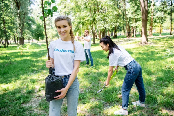 Voluntarios plantando un nuevo árbol en el parque juntos - foto de stock
