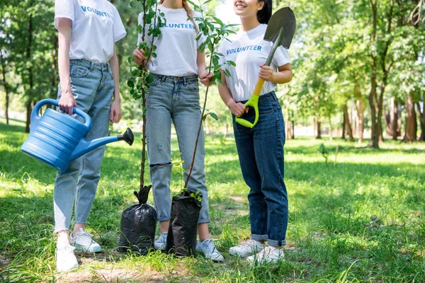 Обрізаний вид на дівчат-добровольців і посадити дерева в парку разом — стокове фото