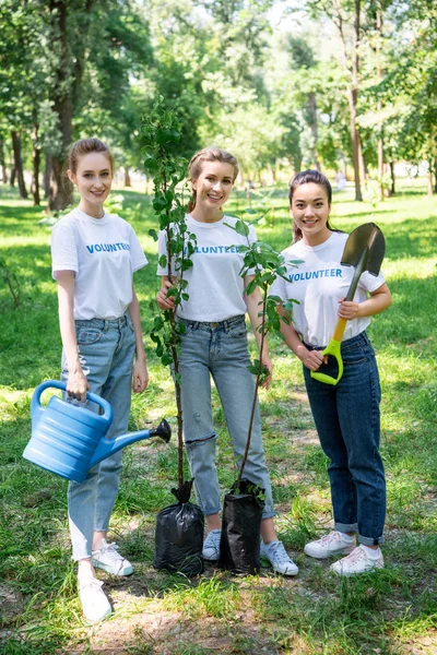 Счастливые девушки добровольно и посадка деревьев в парке вместе — стоковое фото