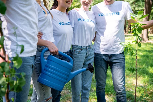 Vista recortada de voluntarios con regadera y árboles nuevos en el parque - foto de stock