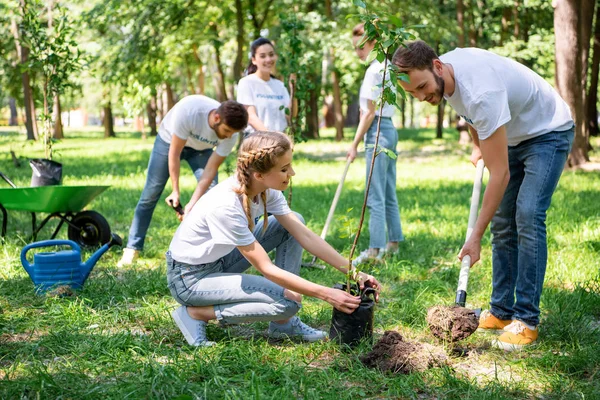 Волонтеры сажают деревья в зеленом парке вместе — стоковое фото