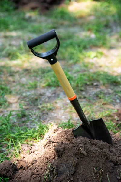 One shovel in soil for planting in park — Stock Photo