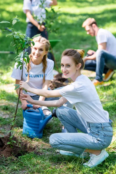 Amigos voluntarios y plantando nuevos árboles en el parque - foto de stock