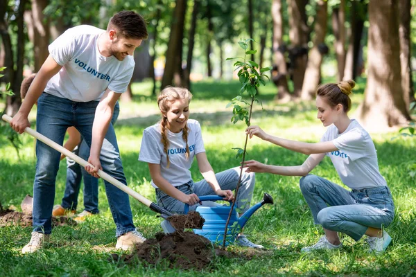 Freunde mit Schaufel und Gießkanne pflanzen neue Bäume im Park — Stockfoto