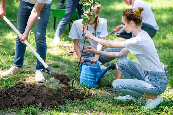 Jeunes bénévoles plantant de nouveaux arbres dans le parc — Photo de stock