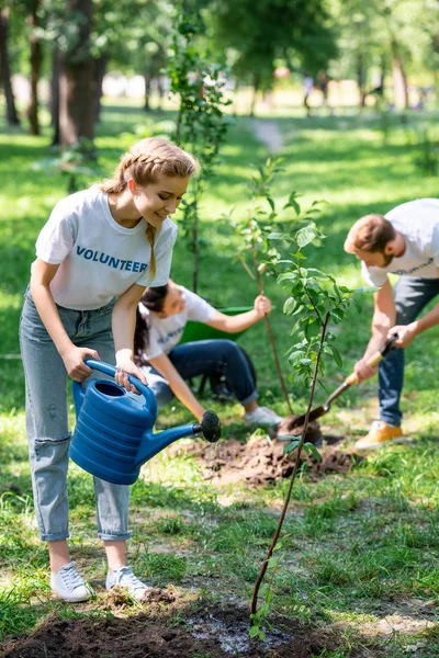 Young volunteers planting and watering new trees in park — Stock Photo