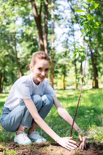 Beau volontaire souriant planter un nouvel arbre dans le parc — Photo de stock