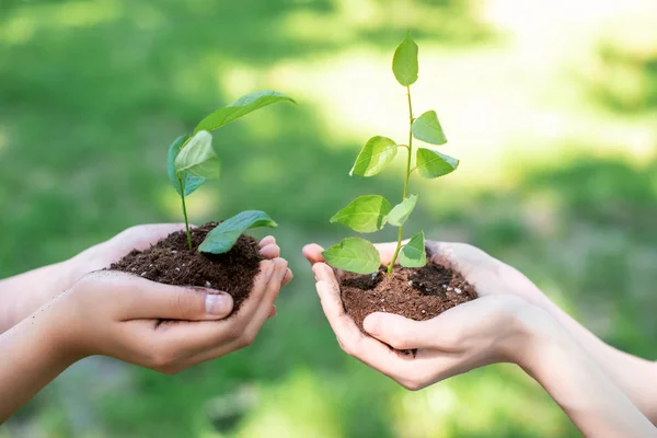 Cropped view of women holding soil with sprouts in hands — Stock Photo