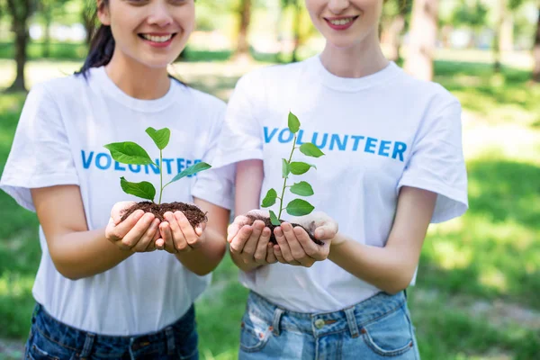 Cropped view of volunteers holding soil with seedlings in hands — Stock Photo