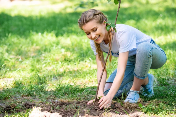 Voluntário atraente plantar nova árvore no parque — Fotografia de Stock