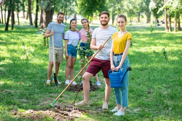 Amigos felices plantando árboles nuevos y haciendo voluntariado en el parque juntos - foto de stock