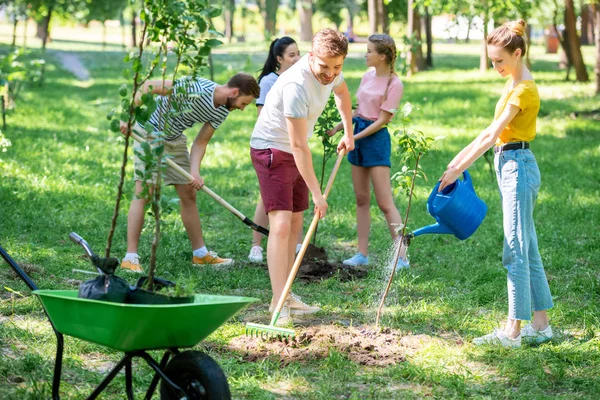 Young friends planting new trees and volunteering in park — Stock Photo