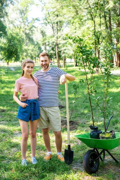 Пара обіймається під час посадки дерев у парку — стокове фото