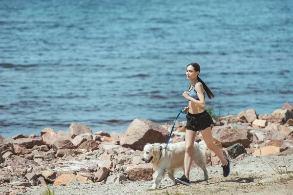 Distante vista de asiático hembra jogger corriendo con perro en playa - foto de stock