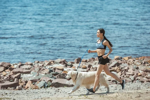 Distant view of asian sportswoman running with dog on beach — Stock Photo
