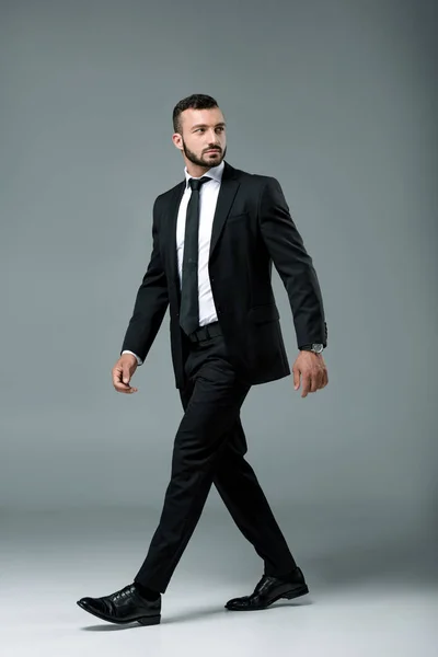 Hombre de negocios guapo en traje caminando y mirando hacia otro lado en gris - foto de stock