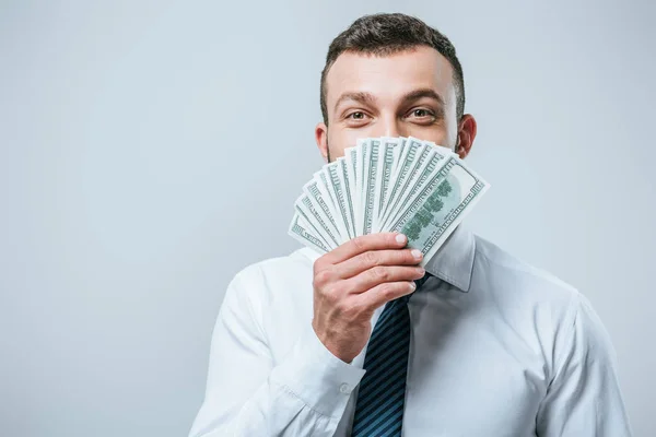 Financiero feliz mirando hacia fuera de billetes de dólar aislados en gris - foto de stock