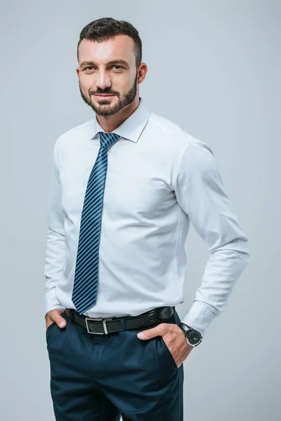 Handsome cheerful businessman posing isolated on grey — Stock Photo