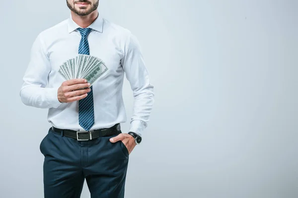 Imagen recortada de contable sosteniendo dinero aislado en gris — Stock Photo