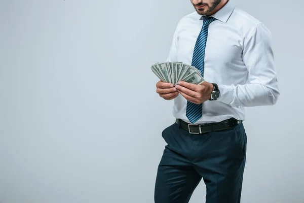 Imagem cortada do financiador contando dólares isolados em cinza — Fotografia de Stock