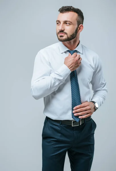 Красивий бізнесмен фіксує краватку ізольовано на сірому — стокове фото