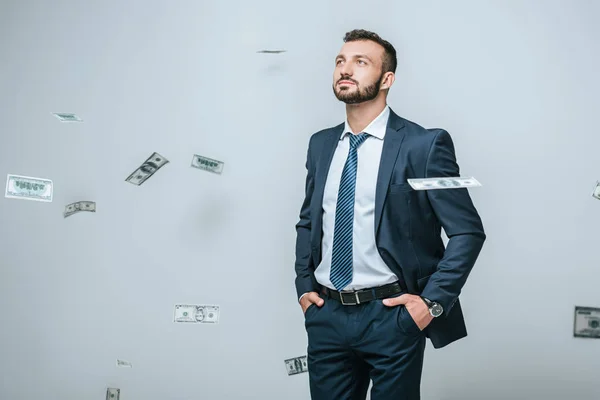 Financiero guapo mirando la caída de dólares aislados en gris - foto de stock