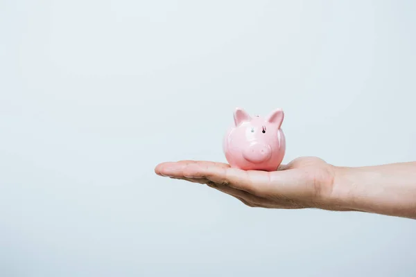 Cropped image of man holding pink piggybank isolated on grey — Stock Photo
