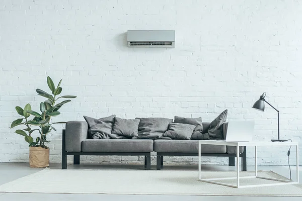 Chambre vide avec canapé gris, ficus, ordinateur portable sur table et climatiseur sur mur blanc — Photo de stock