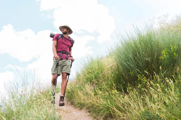Excursionista en sombrero con mochila y alfombra turística caminando por el camino - foto de stock