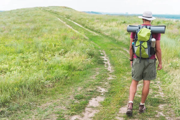 Visão traseira do caminhante com mochila andando no prado verde — Fotografia de Stock
