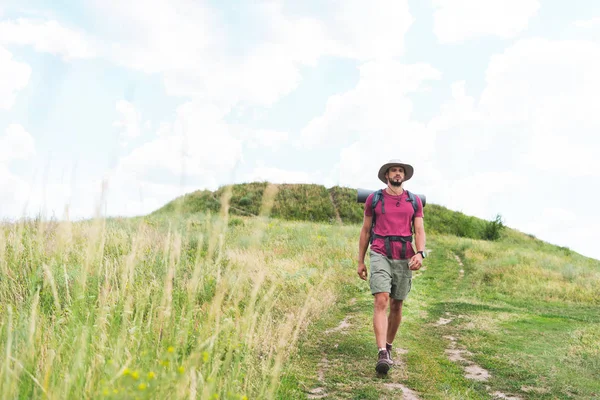 Handsome hiker with backpack walking on green meadow — Stock Photo