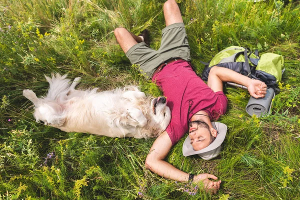 Vista superior del viajero y perro golden retriever acostado sobre hierba verde con mochila - foto de stock