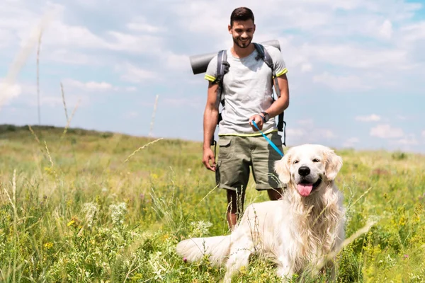 Viajero masculino caminando con perro golden retriever en pradera de verano con cielo nublado - foto de stock