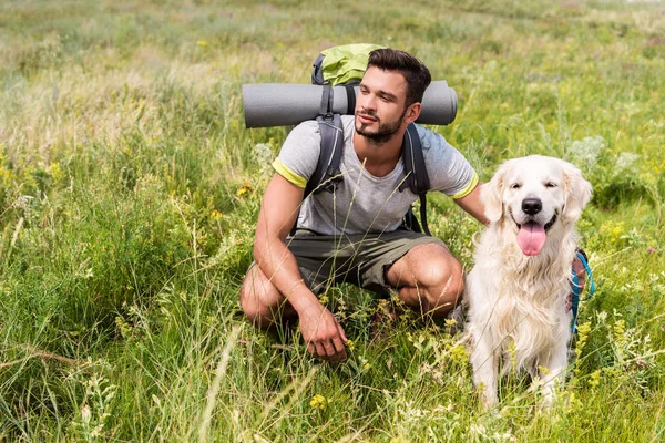 Tourist with backpack and golden retriever dog sitting on green field — Stock Photo