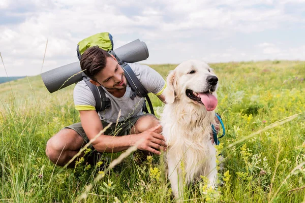 Мандрівник з рюкзаком і собакою, що сидить на зеленому лузі — стокове фото
