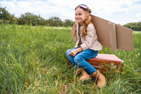 Улыбающийся милый мальчик в костюме пилота сидит на ретро-чемодане в летнем поле — стоковое фото