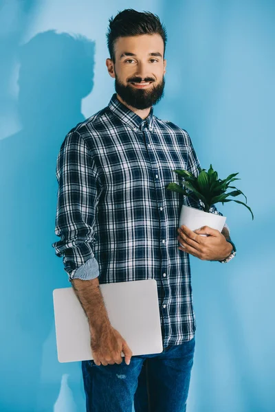 Бородатий чоловік тримає ноутбук і зелену рослину, на синьому — стокове фото