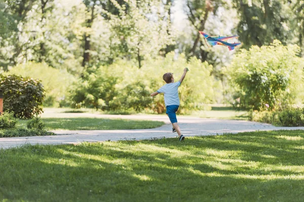 Vue arrière de mignon petit garçon jouer avec cerf-volant coloré dans le parc — Photo de stock