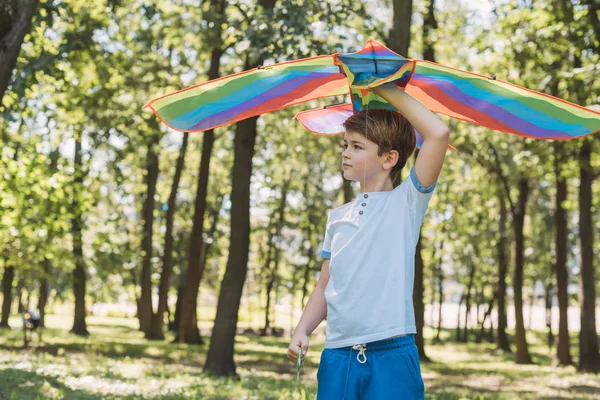 Lindo niño sosteniendo colorido cometa y mirando hacia otro lado en el parque - foto de stock