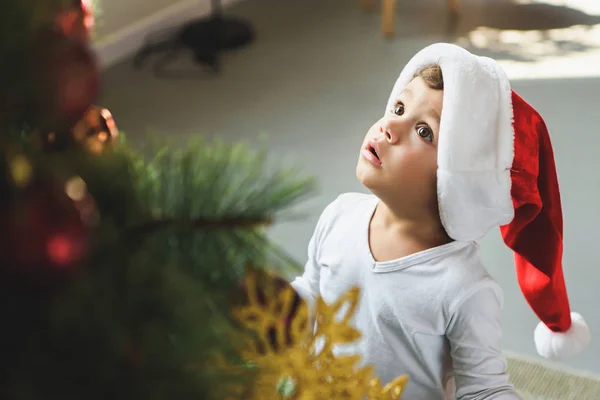 Adorable little kid in santa hat looking up at christmas tree — Stock Photo
