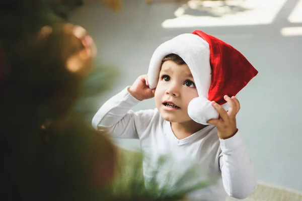 Adorable little boy in santa hat looking at christmas tree — Stock Photo