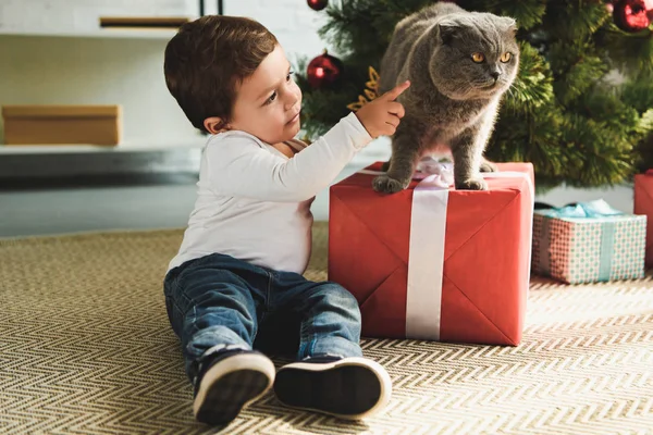 Adorable boy playing with cat on gift box near christmas tree — Stock Photo