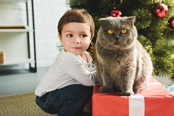 Adorable little kid with scottish fold cat on gift box near christmas tree — Stock Photo