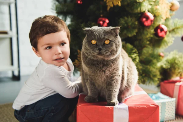 Cute boy with scottish fold cat on gift box near christmas tree — Stock Photo