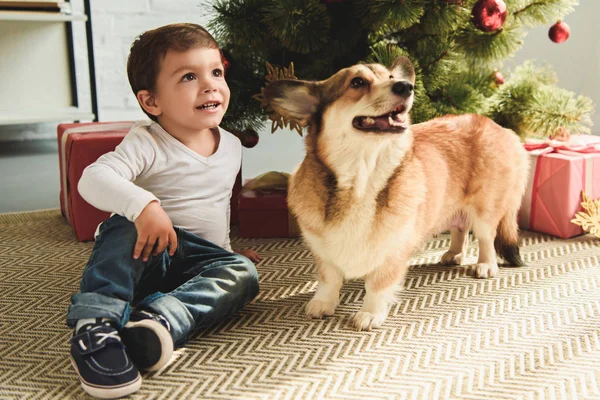 Чарівний хлопчик і собака, що сидить під ялинкою з подарунками — стокове фото