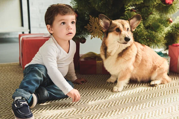 Adorable niño y perro sentado bajo árbol de navidad - foto de stock