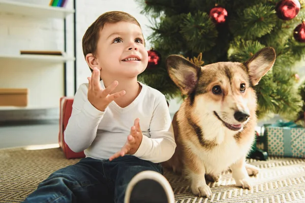 Счастливый мальчик и собака, сидящие под елкой — стоковое фото