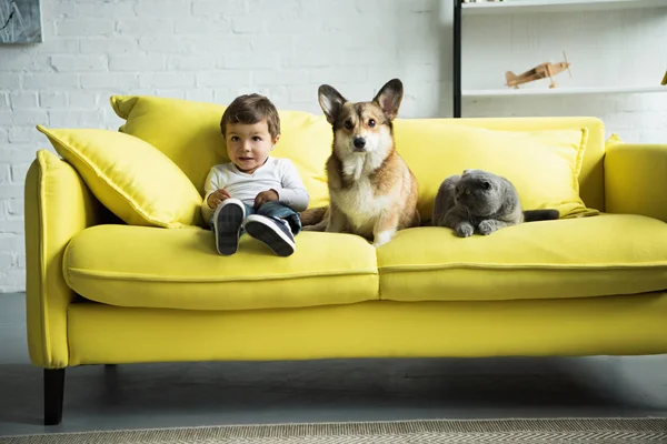 Adorable enfant avec chien et chat assis sur un canapé jaune à la maison — Photo de stock