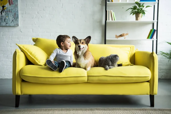 Bambino felice seduto sul divano giallo con animali domestici — Foto stock